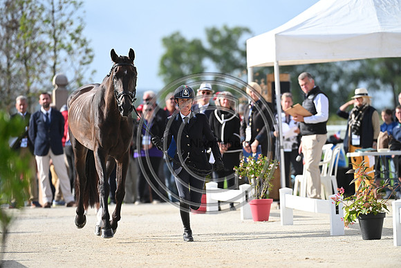 FEI Eventing European Championship
