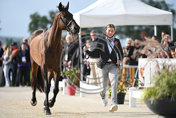 FEI Eventing European Championship