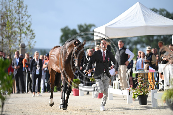 FEI Eventing European Championship