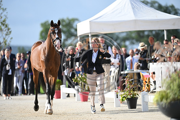 FEI Eventing European Championship