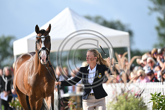 FEI Eventing European Championship