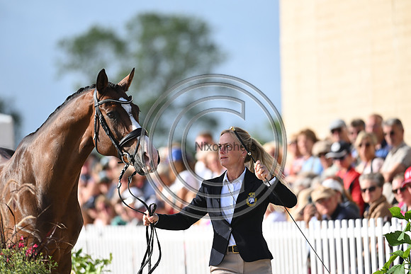 FEI Eventing European Championship