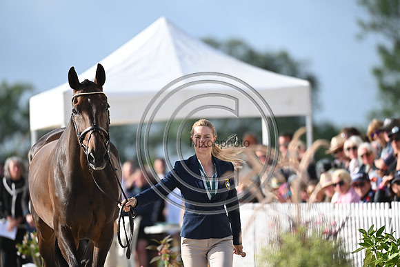 FEI Eventing European Championship