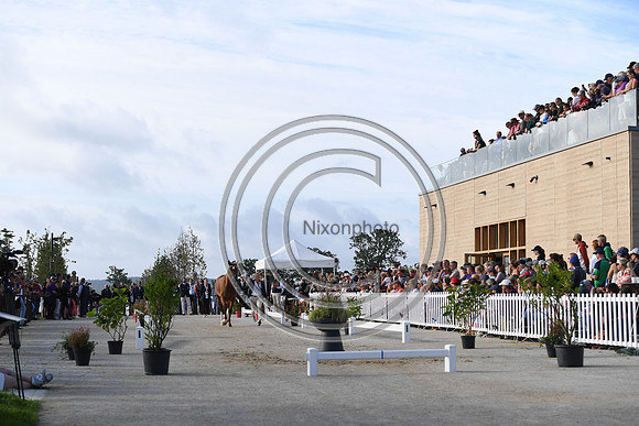 FEI Eventing European Championship