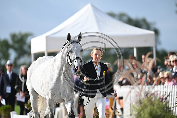 FEI Eventing European Championship