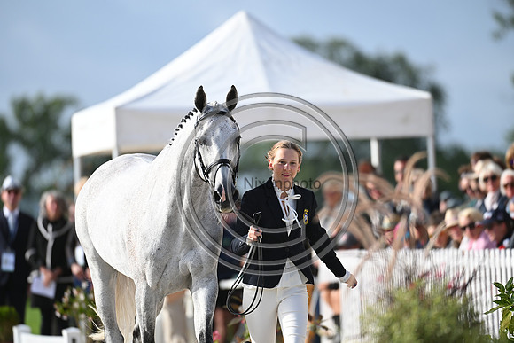 FEI Eventing European Championship