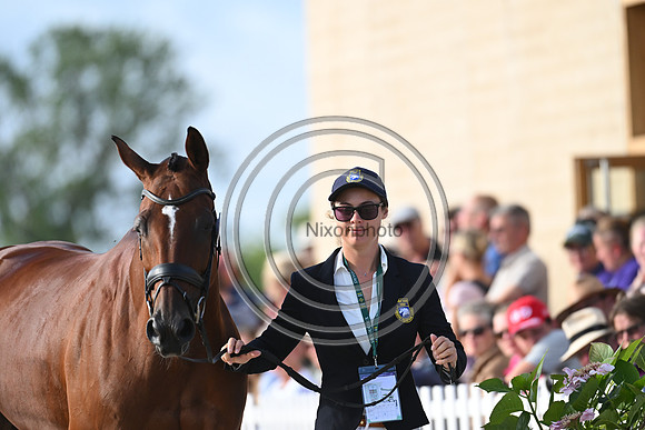 FEI Eventing European Championship