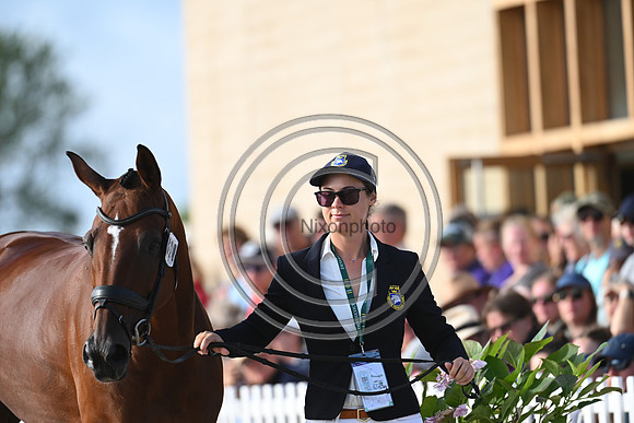 FEI Eventing European Championship