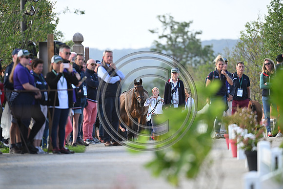FEI Eventing European Championship