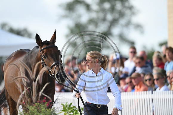FEI Eventing European Championship