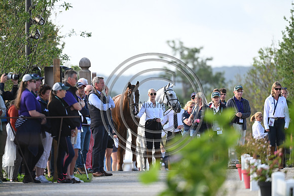 FEI Eventing European Championship