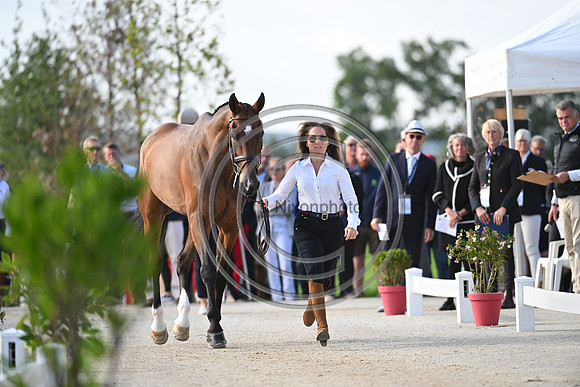 FEI Eventing European Championship