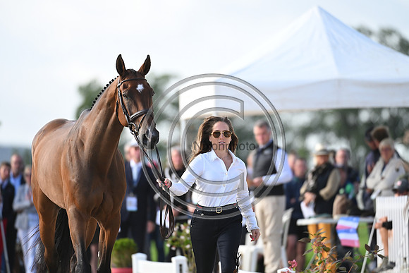 FEI Eventing European Championship