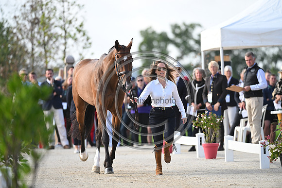 FEI Eventing European Championship