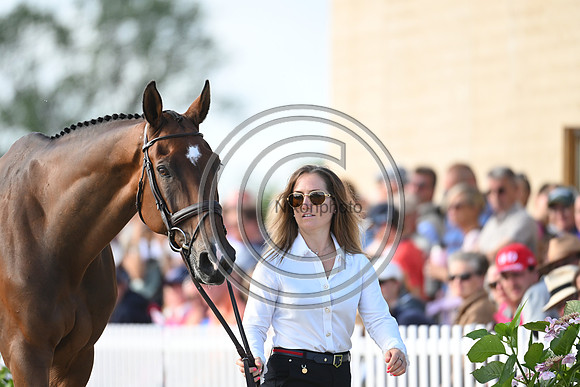 FEI Eventing European Championship