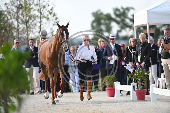 FEI Eventing European Championship