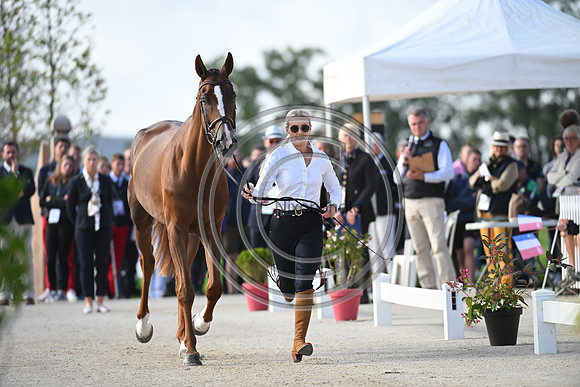 FEI Eventing European Championship