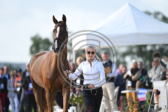 FEI Eventing European Championship