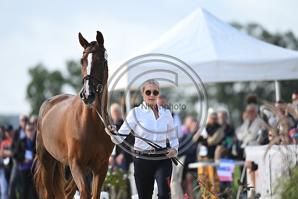 FEI Eventing European Championship