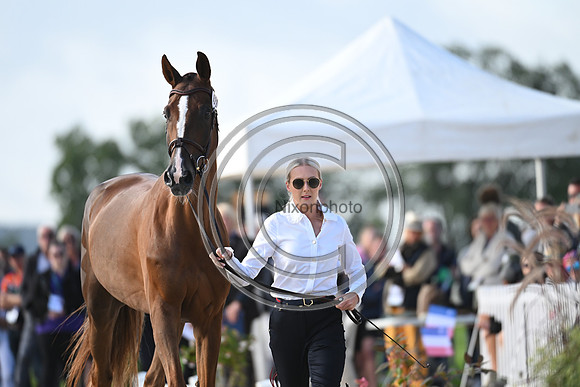 FEI Eventing European Championship