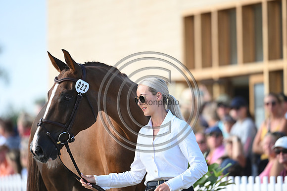 FEI Eventing European Championship