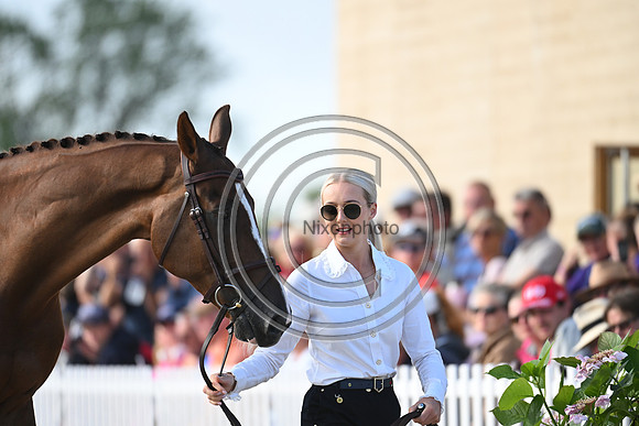 FEI Eventing European Championship