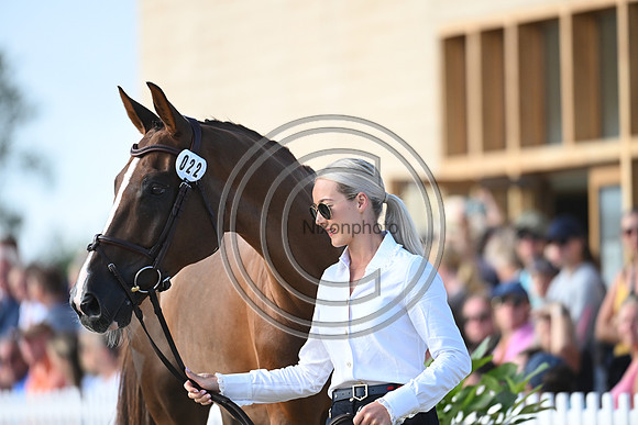 FEI Eventing European Championship