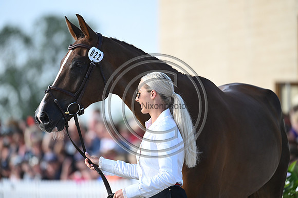 FEI Eventing European Championship