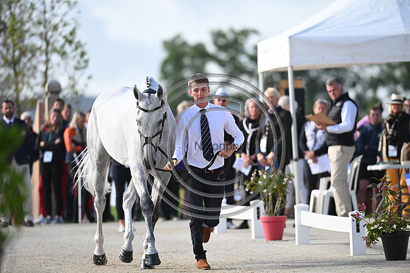 FEI Eventing European Championship