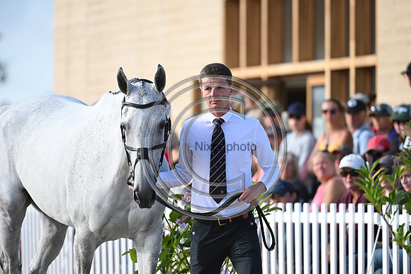 FEI Eventing European Championship