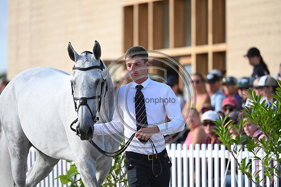 FEI Eventing European Championship