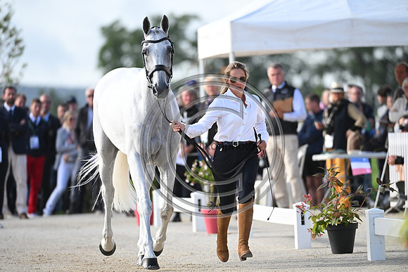 FEI Eventing European Championship