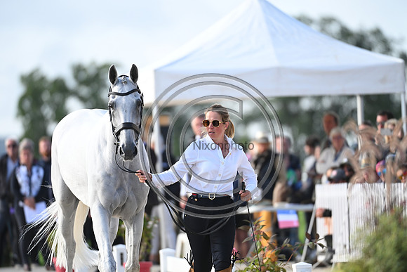 FEI Eventing European Championship