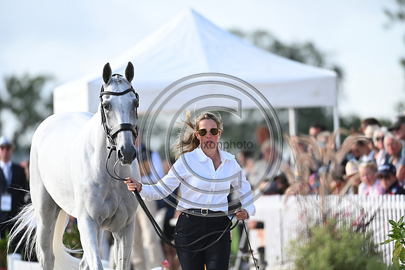 FEI Eventing European Championship