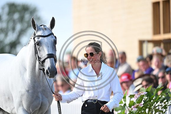 FEI Eventing European Championship