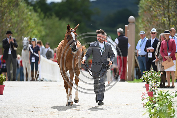 FEI Eventing European Championship