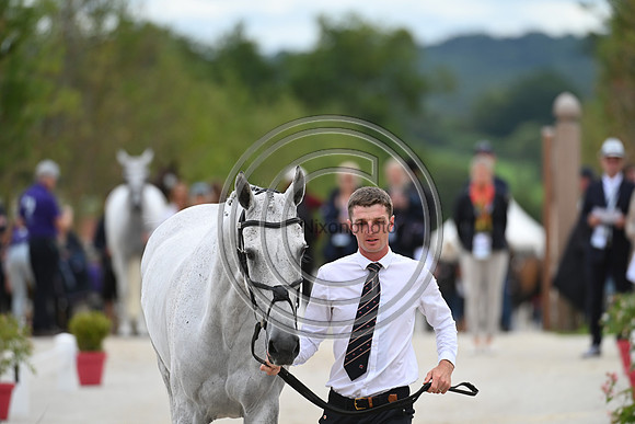 FEI Eventing European Championship