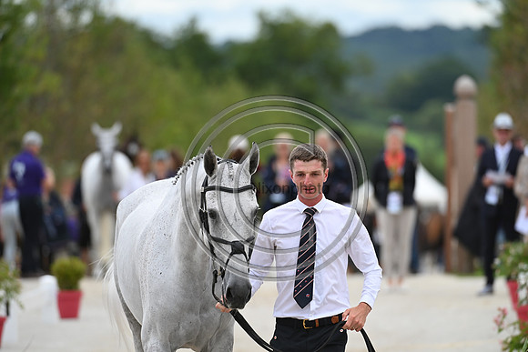 FEI Eventing European Championship