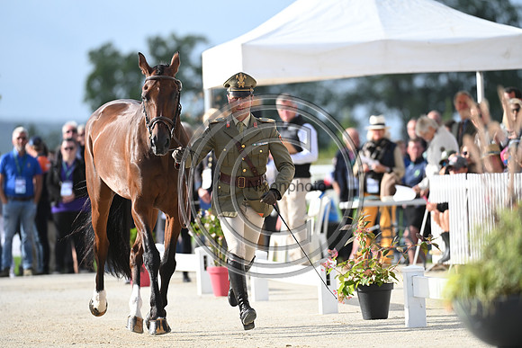 FEI Eventing European Championship