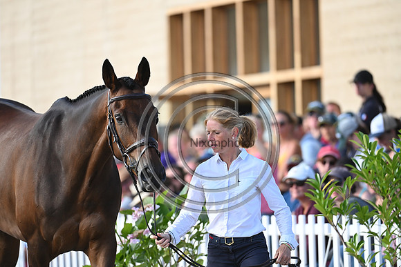 FEI Eventing European Championship