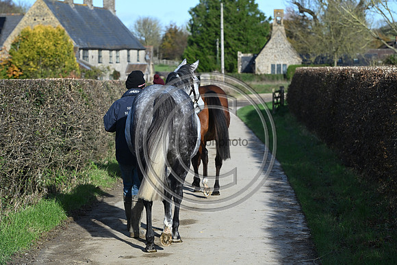 Mare_Selwood_PN46