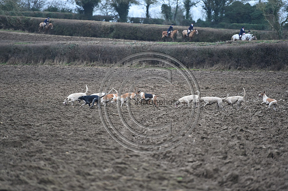 Duke of Beaufort's Hunt  08 01 22