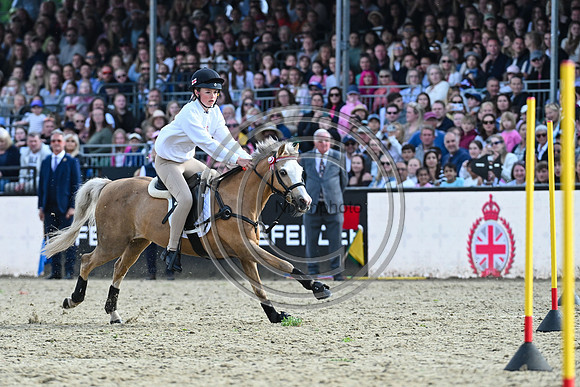 DAKS_PC_RWHS25_P189968