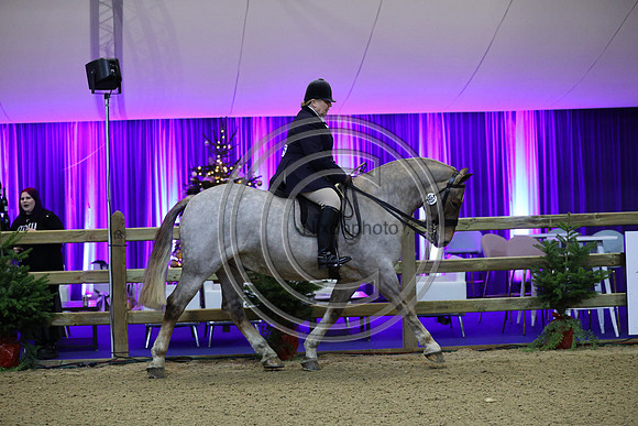 Rising Star_CobChamp_LIHS_PN24_10202
