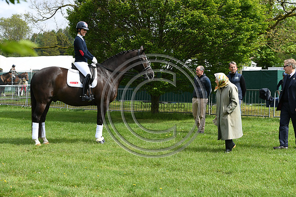 Valegro_RWHS_PN19_12899