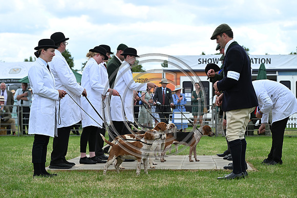 Festival of Hounds 2024