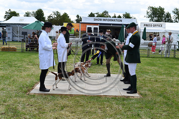 Festival of Hounds 2024