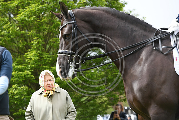 Valegro_RWHS_PN19_13008