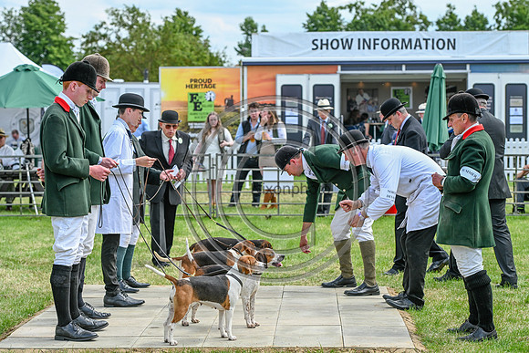 Festival of Hounds 2024