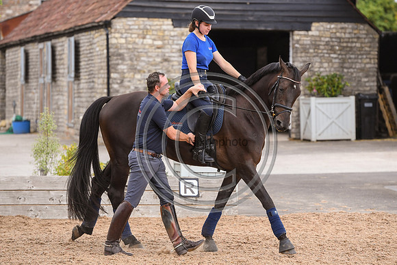 Collective Equestrian